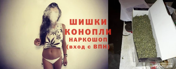 тгк Новодвинск