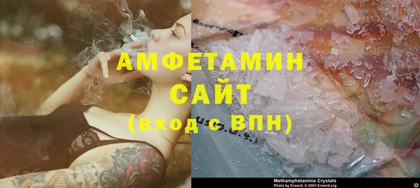 шишки Новокубанск
